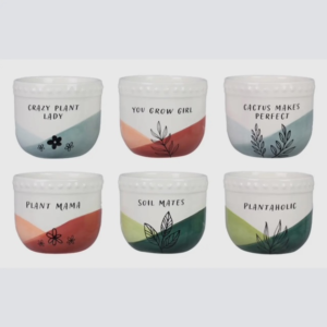 Ceramic sassy planters