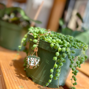 Planty Keyring