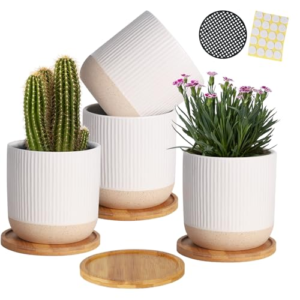 5.25 Inch Ceramic Pots with Saucers & Drainage
