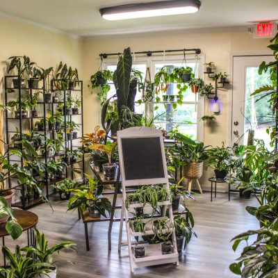 Canopy and Crown Studio — a boutique blend of beauty and plants